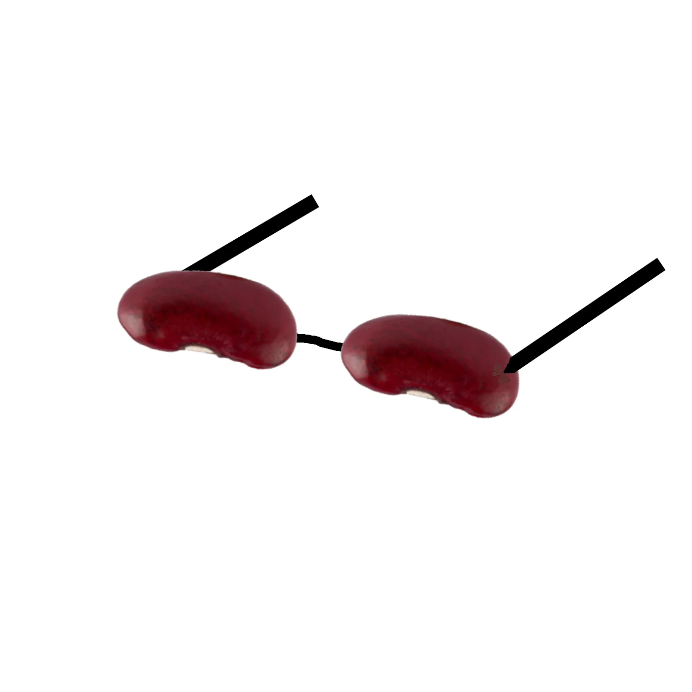 Bean Sunglasses